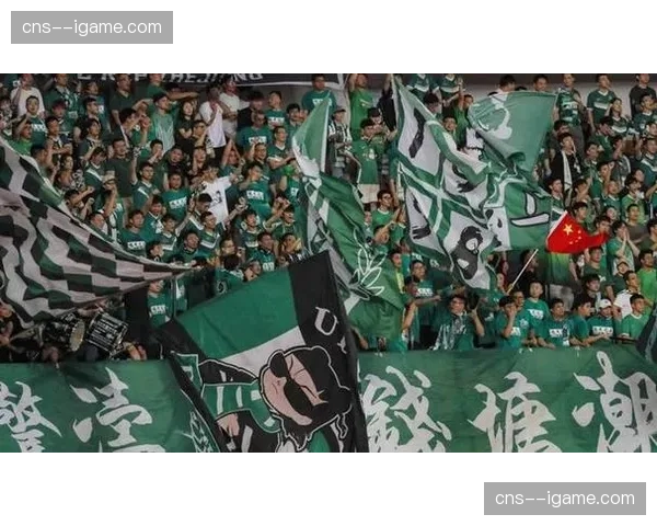 浙江队签下克罗地亚中场托利奇，自由转会补强中场